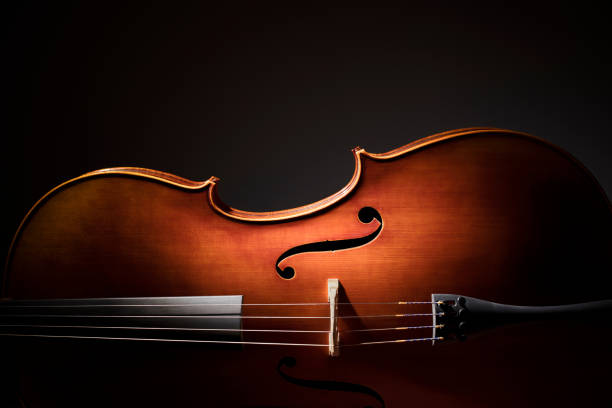 Essential Steps to Start Your Violin Journey Alone