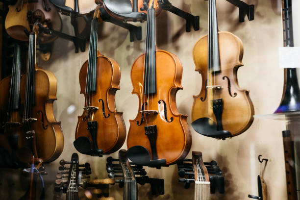 The Violin Market: Trends and Insights